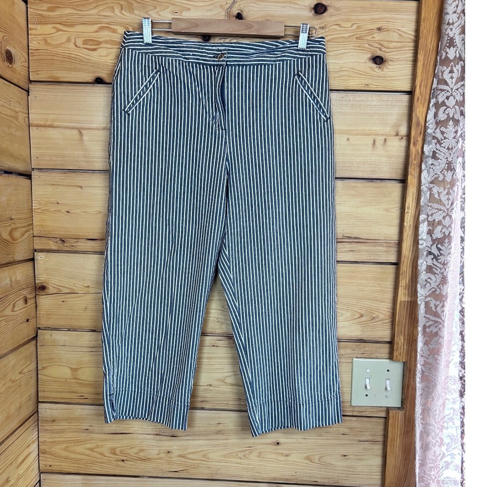 Additions by Chico's Striped Cropped Pants Size 2 Large‎ Stretch Cotton Coastal